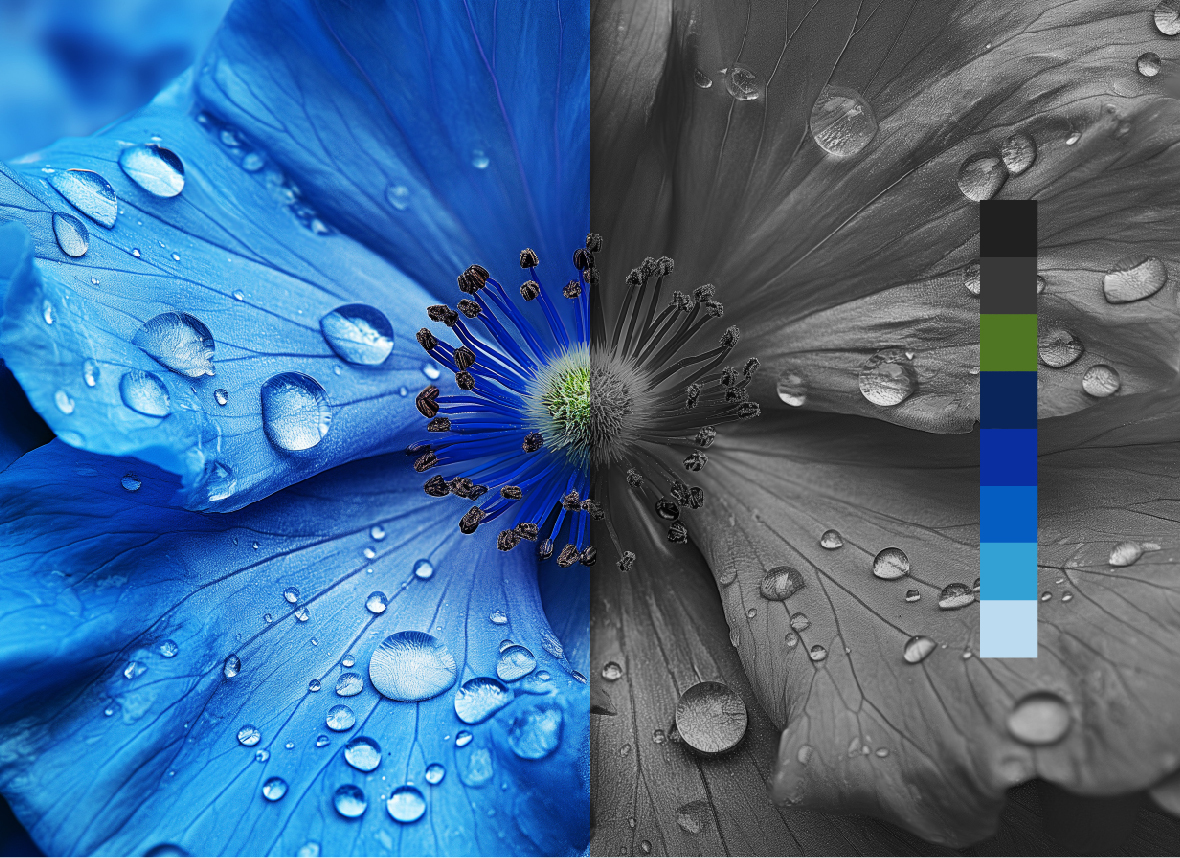 Introduction to Print Quality Optimization