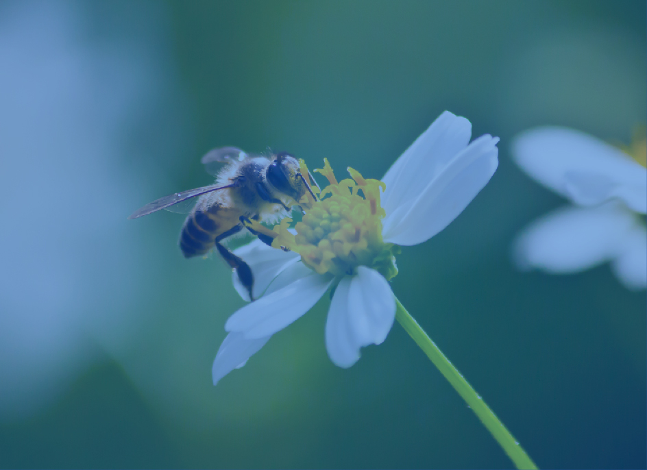 Your Partner in Sustainable Printing